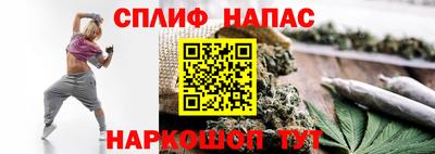стаф Бийск