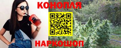 стаф Бийск