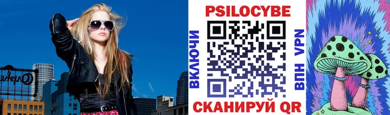 Псилоцибиновые грибы мицелий  Ипатово 