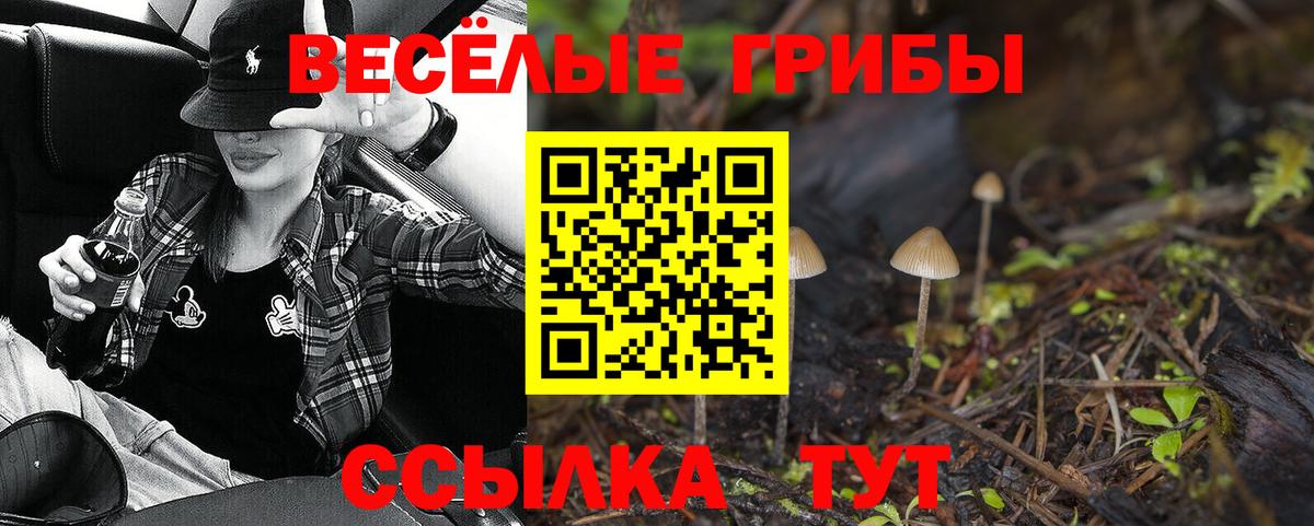Галлюциногенные грибы Psilocybine cubensis  Галлюциногенные грибы GOLDEN TEACHER  Ипатово  Вход с VPN 